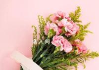母親節送媽媽花被回復來點實惠的