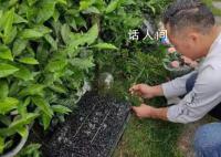 杭州墜亡女童父親:她居然不用坐牢