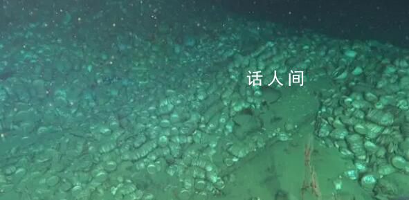 南海發(fā)現(xiàn)兩處古代沉船 文物超十萬件