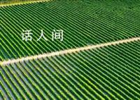 一路奔赴 百縣同行