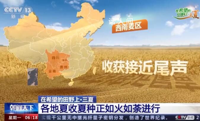 一組數字看中國豐收“速度” 冬小麥的收獲正如火如荼
