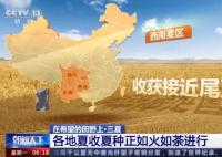 一組數字看中國豐收“速度” 冬小麥的收獲正如火如荼
