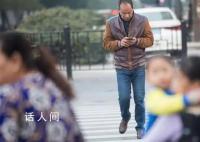 多地立法處罰過馬路玩手機 低頭族存在極大的安全隱患