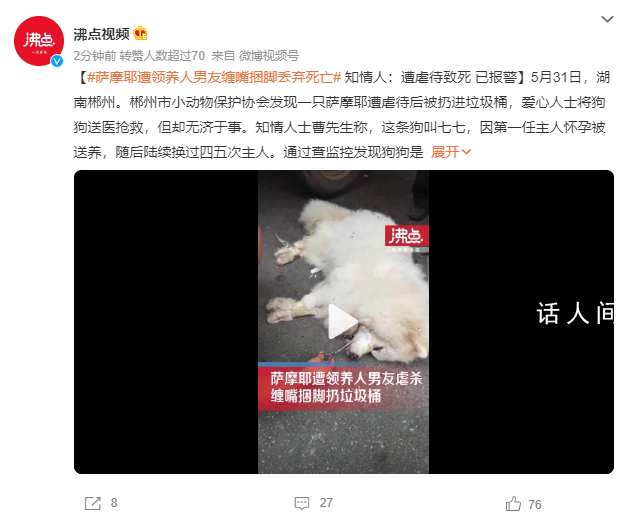 薩摩耶遭領養人男友捆腳丟棄死亡 愛心人士將狗狗送醫搶救但卻無濟于事