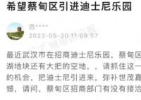 迪士尼樂園落戶武漢?官方:正洽談