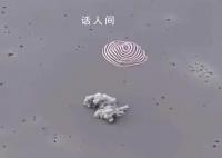 神十五返回艙著陸瞬間 歡迎費(fèi)俊龍鄧清明張陸回家