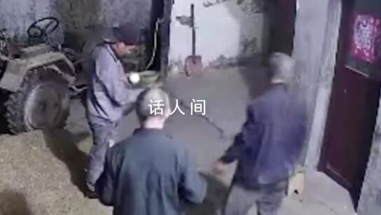 老父親半夜去田里收麥忙到天亮 很心酸覺得自己沒用