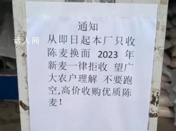 面粉廠不收今年新小麥?當(dāng)?shù)鼗貞?yīng)