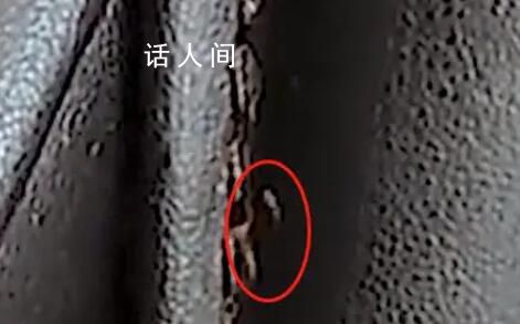 按摩椅座套出現蟲子 廣州南站致歉