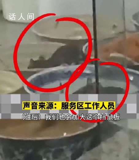 服務(wù)區(qū)負(fù)責(zé)人回應(yīng)菜盆中驚現(xiàn)老鼠 下一步會對防鼠措施加大力度加強(qiáng)巡查和防范
