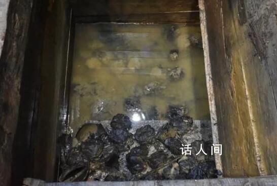 河南發(fā)現(xiàn)距今2000多年的粽子 走近中國最古老的實(shí)物粽子