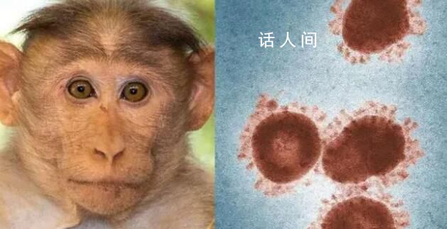 沈陽發(fā)現(xiàn)一例猴痘病例 猴痘的傳染源是什么