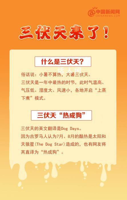 三伏天為啥是減肥的好時候 大家注意防暑降溫