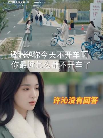 許沁不敢向同事坦誠(chéng)沒車了 許沁的角色行為引起熱議