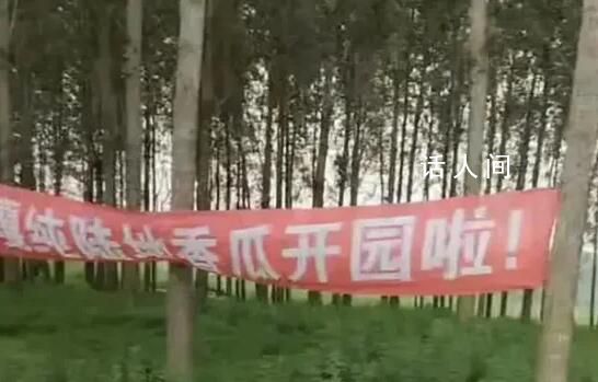 疑城管拔瓜田橫幅:種地不能打廣告