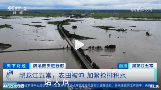 五常市農田被淹水面連在一起 被淹農田正加緊搶排積水