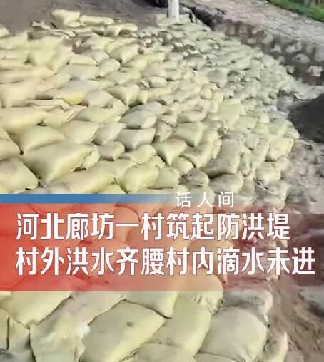 廊坊一村筑起防洪堤村內滴水未進 感謝先輩們留下了寶貴的護村堤