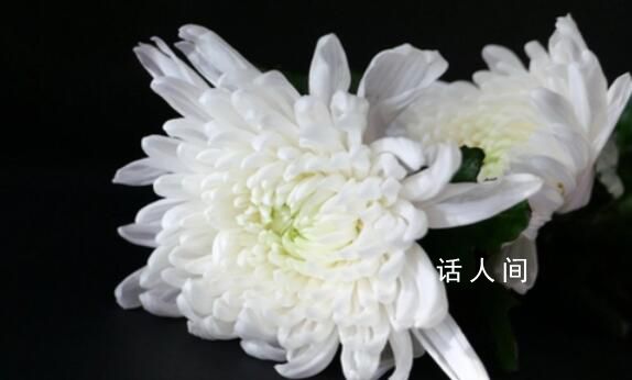 北京門頭溝龍泉鎮(zhèn)副鎮(zhèn)長救災中遇難 劉捷簡歷個人資料