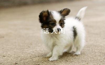 萌寵治愈季 今日份治愈請(qǐng)查收家有萌寵