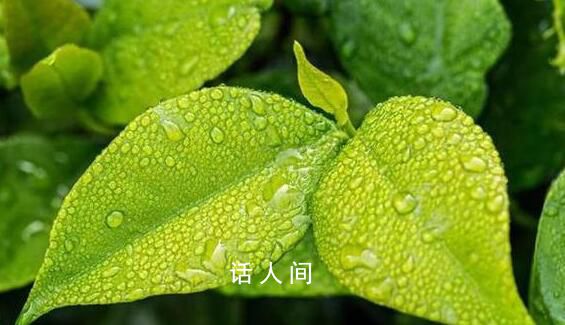 今日出伏 雨已在路上