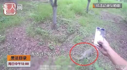 北京大興出現(xiàn)一只一米長巨型蜥蜴 推斷：是被放生的