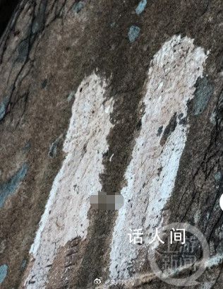 青島有重要史料價值石刻遭水泥涂抹 后續(xù)也將聯(lián)合多部門對其加強看護