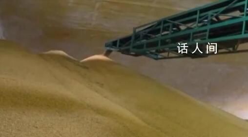 全國(guó)夏糧收購超6300萬噸 秋糧開始陸續(xù)上市