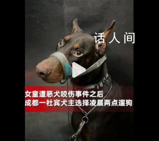 成都一養(yǎng)狗人選擇凌晨2點遛狗 選擇避開人群給他人安全感