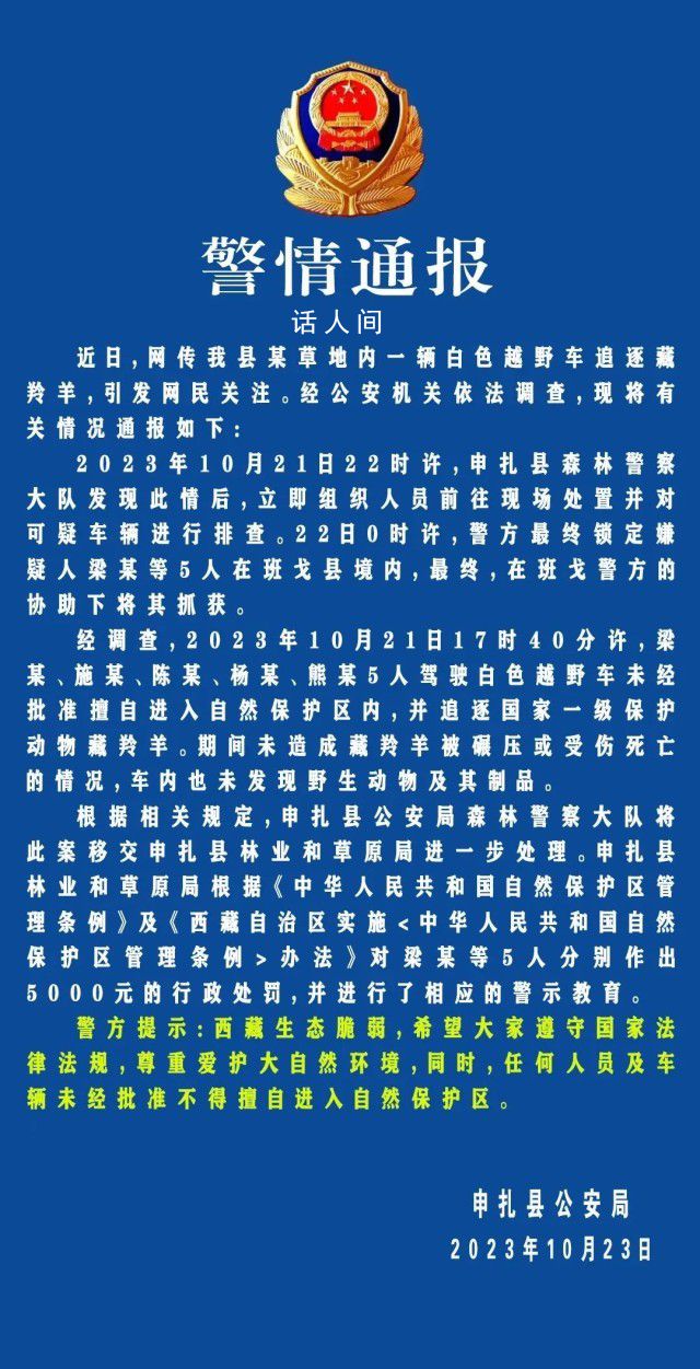 5人擅闖保護區追趕藏羚羊被抓獲 5人分別作出5000元的行政處罰