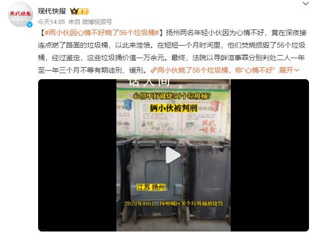 兩男子心情不好燒56個(gè)垃圾桶 經(jīng)過鑒定這些垃圾捅價(jià)值一萬余元