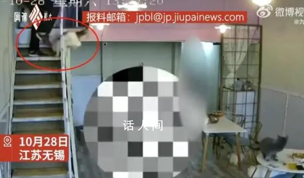 孩子在貓咖被嚇哭男子將貓踹下樓 經(jīng)檢查貓暫無(wú)異常沒(méi)有報(bào)警