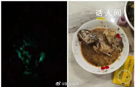 大媽買海魚紅燒后半夜發(fā)綠光 紅燒魚半夜發(fā)綠光是怎么回事