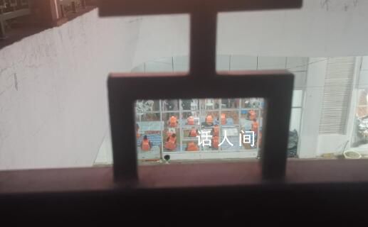 電詐人員連成一串依警還鄉 現場畫面曝光