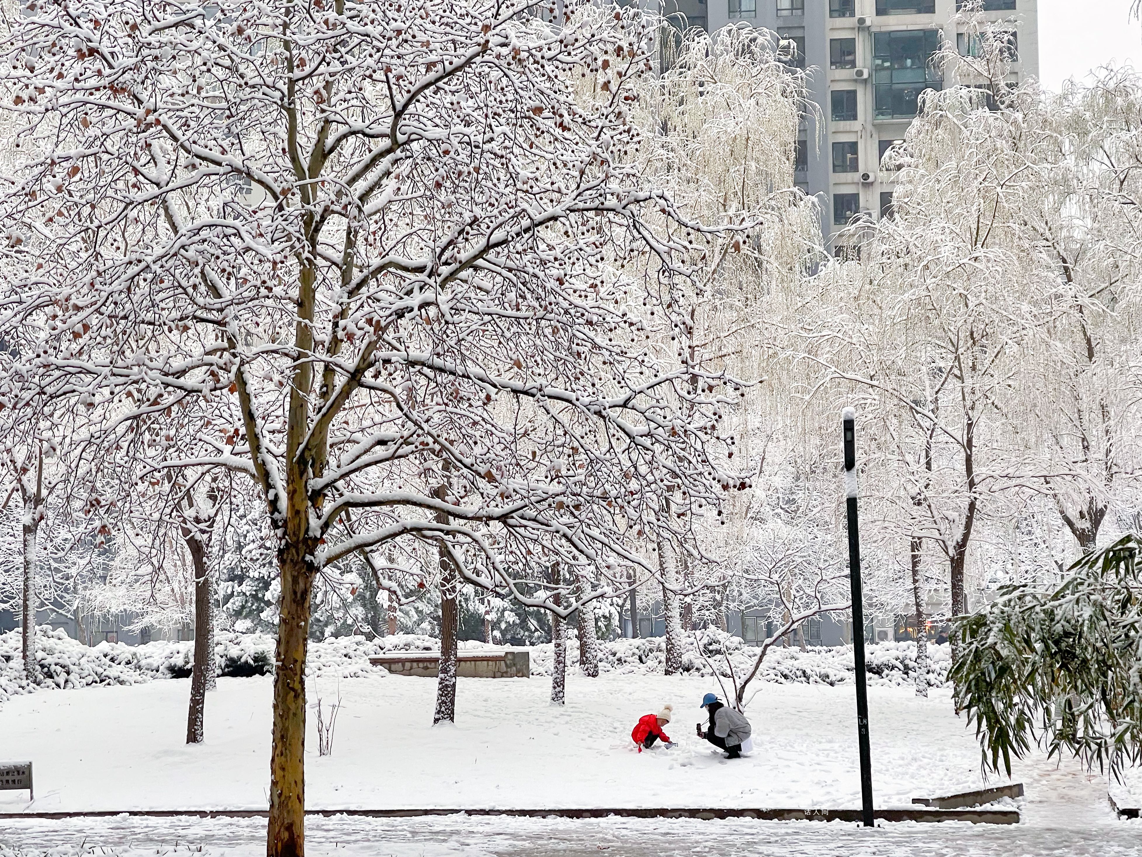 積雪可達15厘米 暴雪寒潮已近在眼前