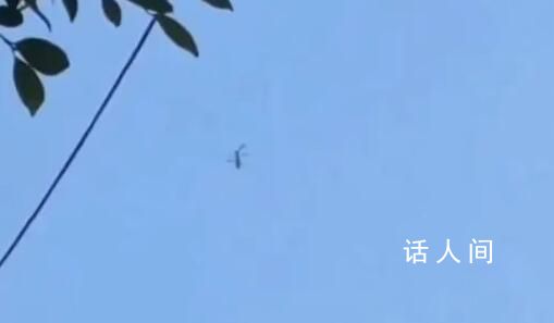以色列迷你無人機(jī)被拍到 形似飛行手榴彈