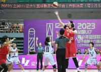 16歲女籃隊員身高已超過姚明 張子宇身高是多少2024最新