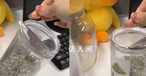 女子稱去胖東來買茶葉發現有頭發 胖東來回應：可能是攤晾時沒弄干凈