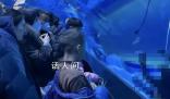 鄭州潛水員溺亡海洋館發(fā)布情況說明 已與家屬妥善完成善后工作