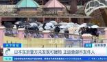男子“交友約會”1小時被騙29萬 團伙半年內賬目流水高達1.4億元