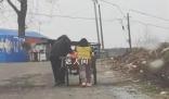男孩雨中幫老奶奶推三輪車上坡 我力氣大著呢
