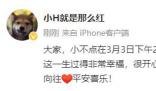 向往的生活小羊小不點(diǎn)去世 小不點(diǎn)在3月3日下午2點(diǎn)多走了