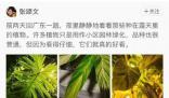 雷軍回復張頌文 你喜歡哪種顏色?