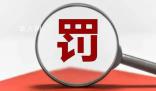 一90后被證監(jiān)會罰沒2.7億元 獲利共9027.51萬元