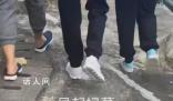 何超蓮給賭王掃墓 母親陳婉珍穿著低調(diào)