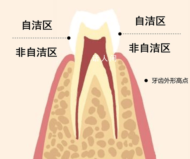 刷牙最該刷的其實不是牙齒 你真的會刷牙嗎？