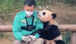姜爺爺回應母親去世堅持送福寶 雖然心情沉重但福寶之行也很重要所以我來了