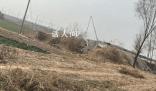 殺人埋尸的3名未成年最高判什么刑 最高可被判處無(wú)期徒刑