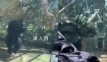大猩猩疑被游客挑釁怒撞玻璃 很多游客沒有素質以后會加強安保和多貼標語